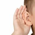Игры на развитие слухового внимания 